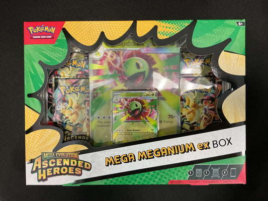Ascended Heroes Mega Meganium ex Box